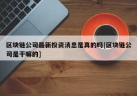 区块链公司最新投资消息是真的吗[区块链公司是干嘛的]