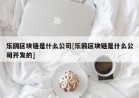 乐鸥区块链是什么公司[乐鸥区块链是什么公司开发的]