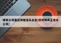 哪家公司是区块链龙头企业[区块链真正龙头公司]